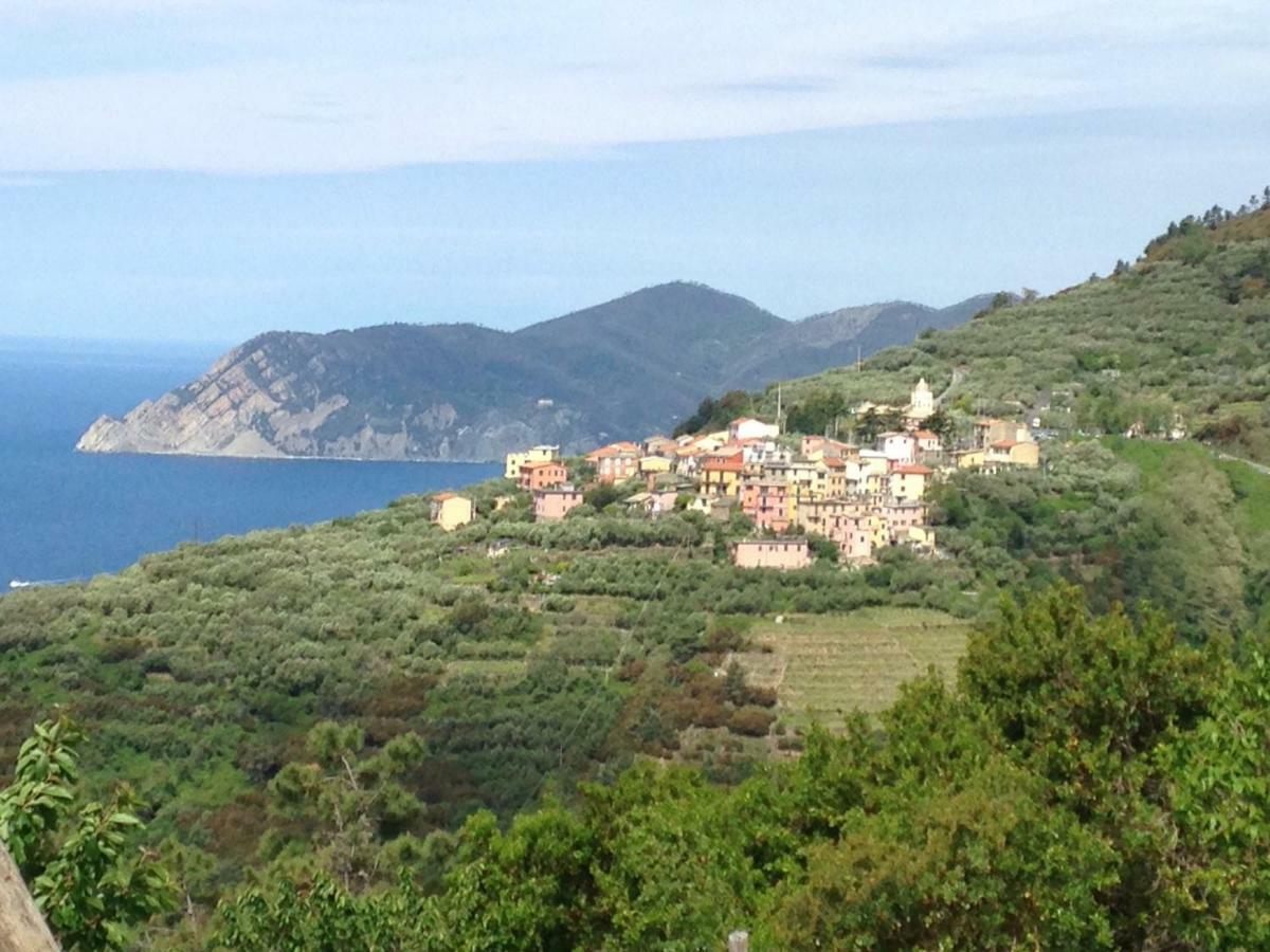 Appartement Ca' Di Rissi - Homy 5 Terre à Volastra Extérieur photo